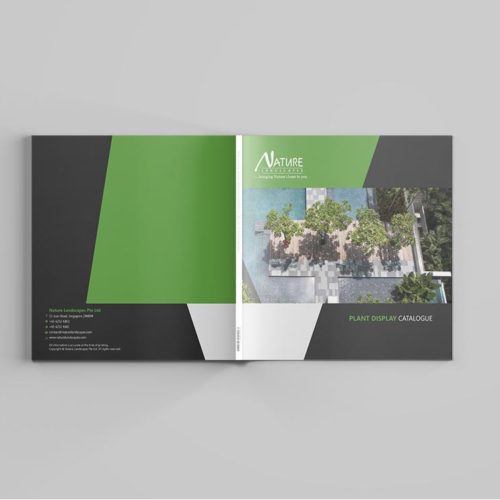 A catalogue design for nature landscape.
