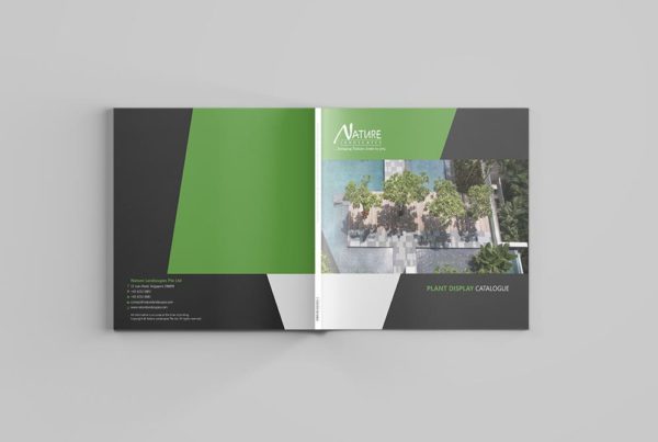 A catalogue design for nature landscape.
