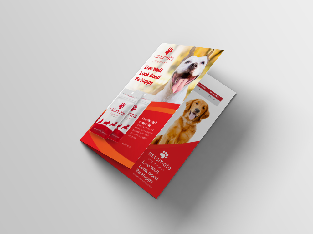AstaReal Pull Up Banner A4 Bi Fold brochure and A4 Flyer Design