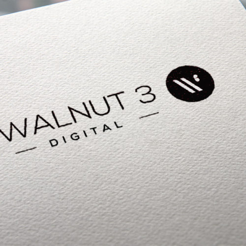 Walnut 3 Digital Logo and Website Design