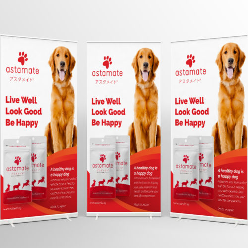 AstaReal Pull Up Banner, A4 Bi Fold brochure and A4 Flyer Design