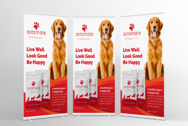 AstaReal Pull Up Banner, A4 Bi Fold brochure and A4 Flyer Design