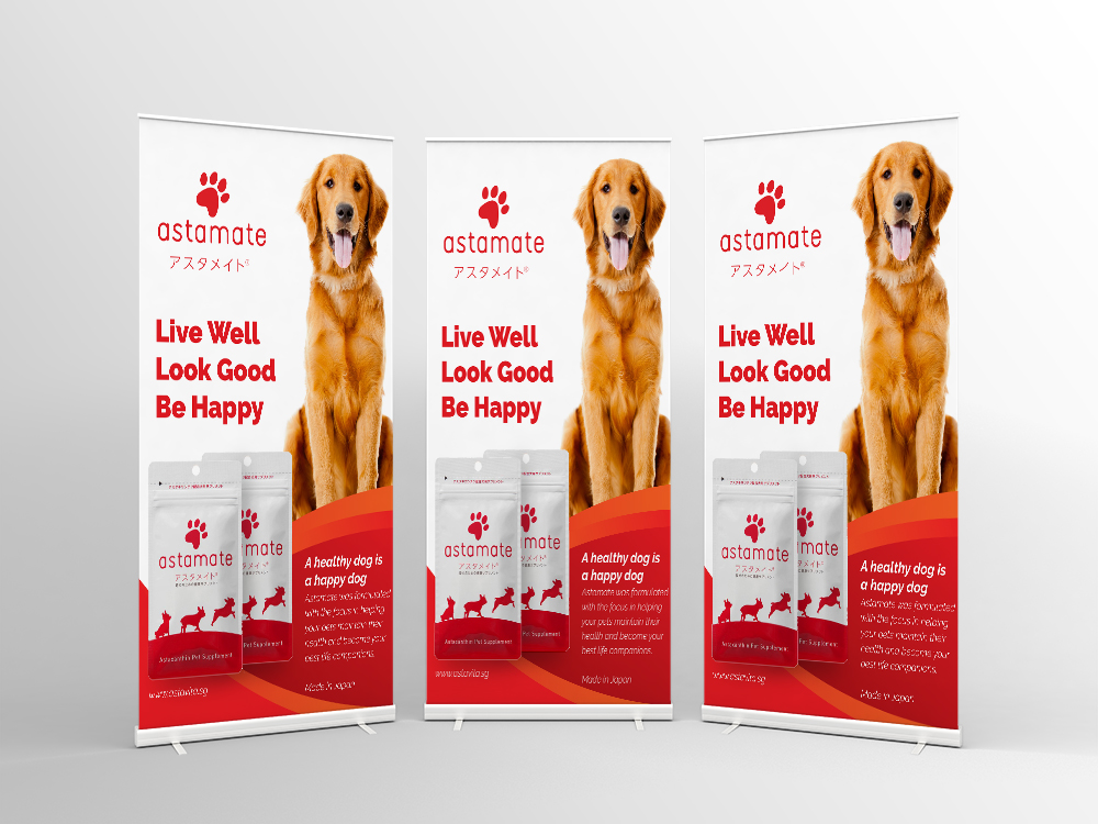 AstaReal Pull Up Banner, A4 Bi Fold brochure and A4 Flyer Design