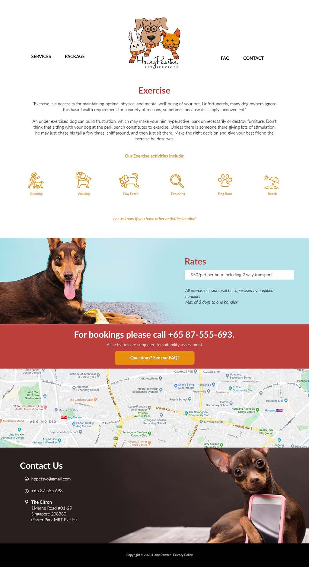 website design for hairy pawter singapore freelance designer