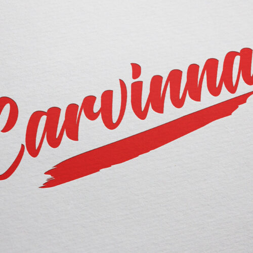 carvinna logo design