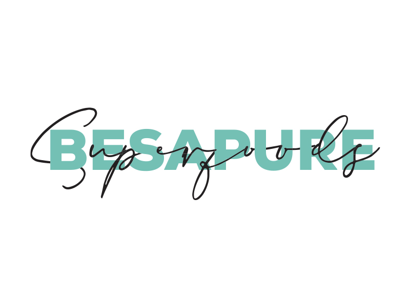 Logo design mock up sample for Besapure