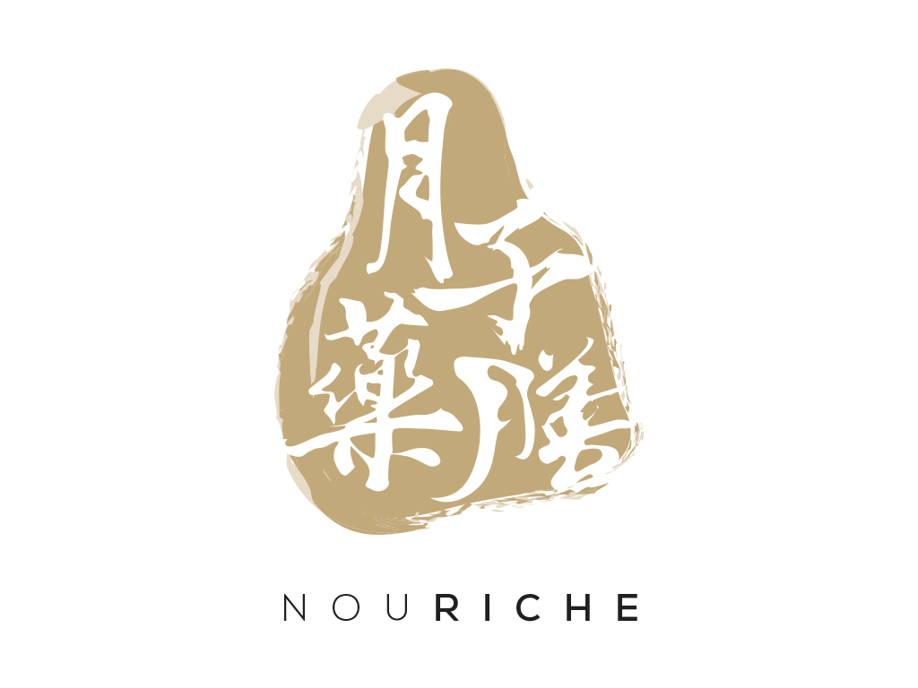 nouriche logo design mock up