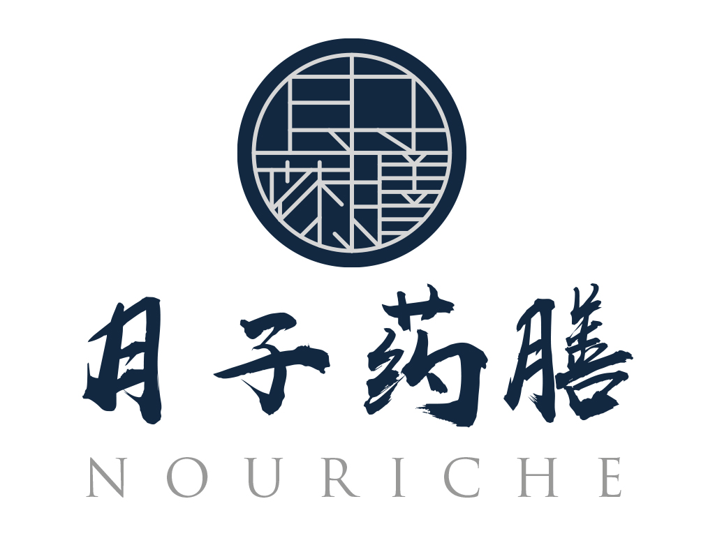 nouriche logo design mock up