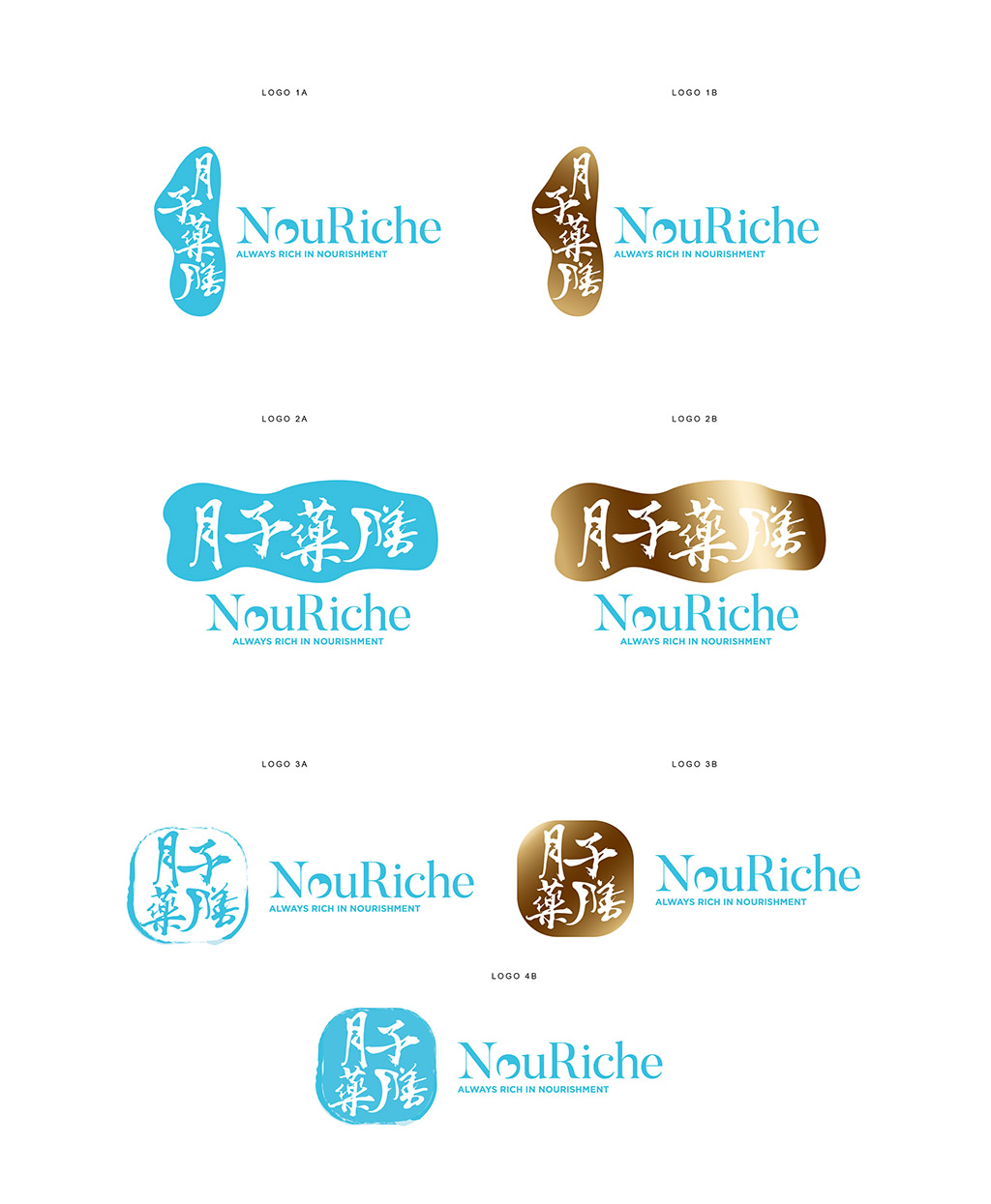 nouriche logo design mock up variations and samples