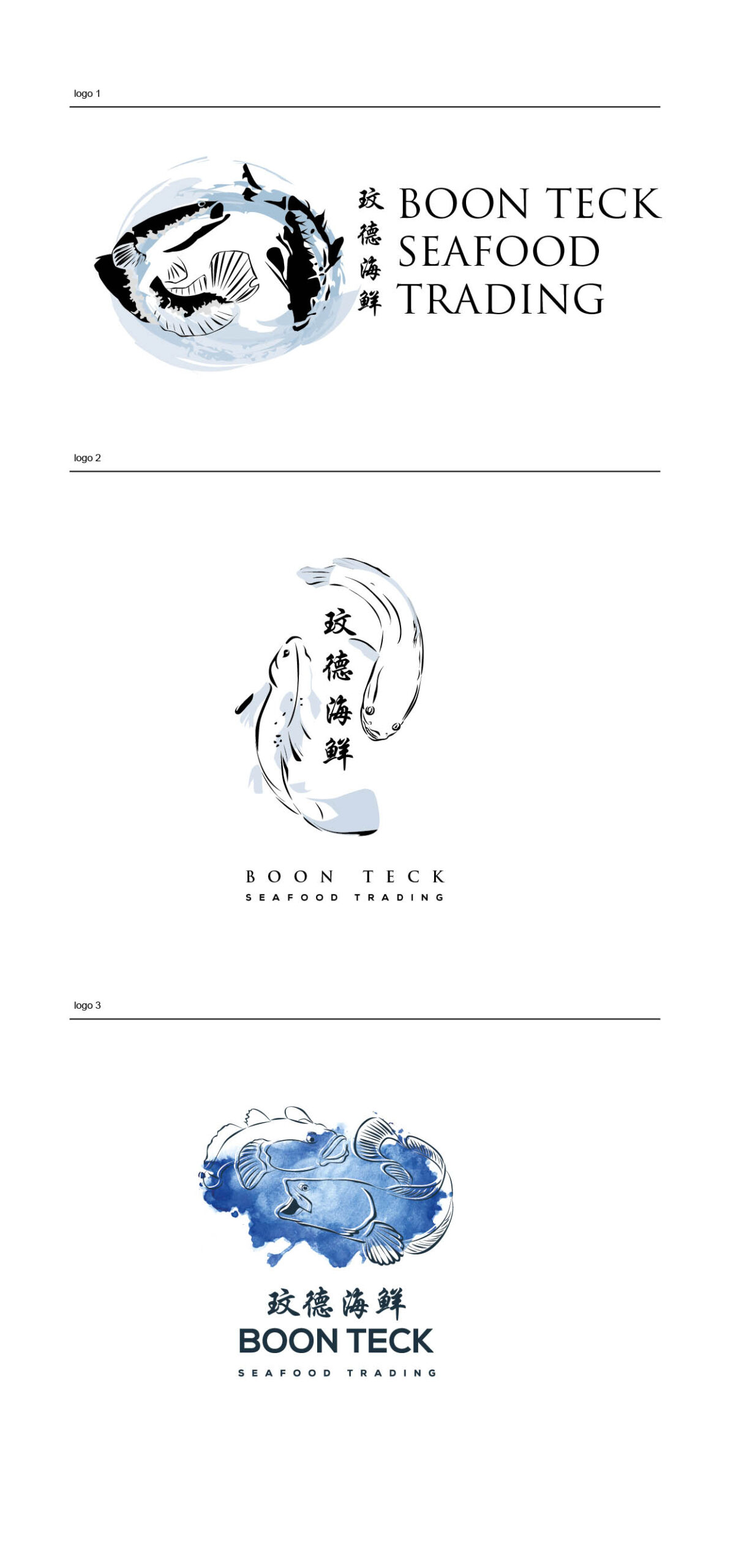 Logo design mock up for book teck